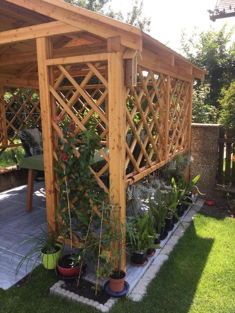 Beispielbild für Außenbereich & Garten: IMG-20210728-WA0008.jpg